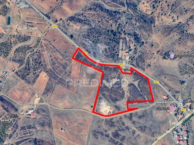Terreno rústico com 7,3ha no Azinhal, pode construir 300m2