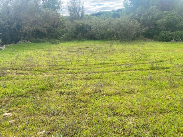 Terreno rústico com 7.090m² em Monte Velho, Albufeira – Algarve