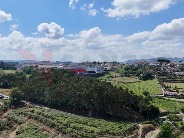 Terreno Rústico com 7.600m² Junto ao Mosteiro de Pombeiro