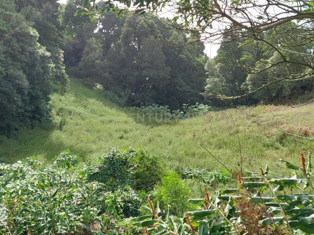 Terreno Rústico com 7.640 m²