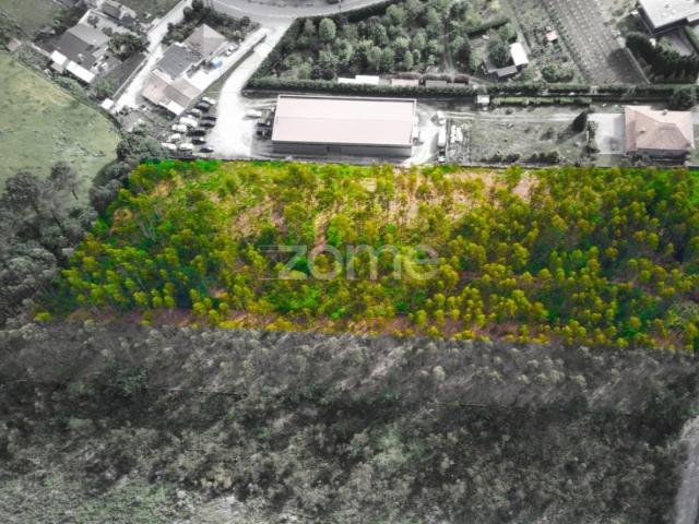 Terreno Rústico com 7.900 m2 em Monte Córdova Santo Tirso