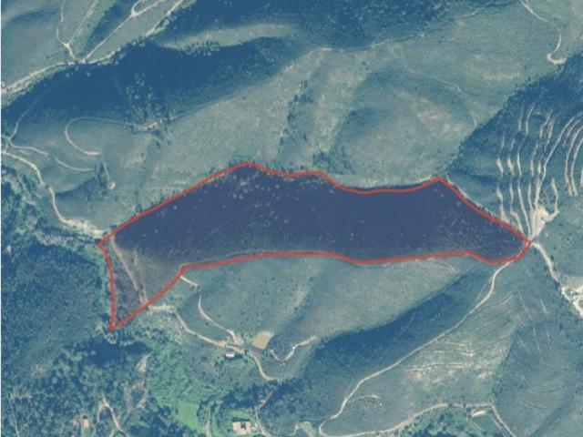 Terreno Rústico com 7 Hectares junto à Ribeira da Rocha Abitureira / Cerca dos Pomares