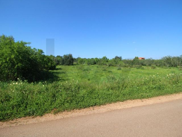 Terreno rustico com 8610 m2, Barranco Longo, Algoz