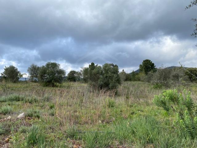 Terreno Rustico com 8 600m2, Salir, Algarve