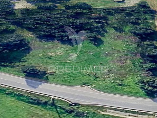 Terreno Rústico com 9.200 m² | Quinta do Anjo