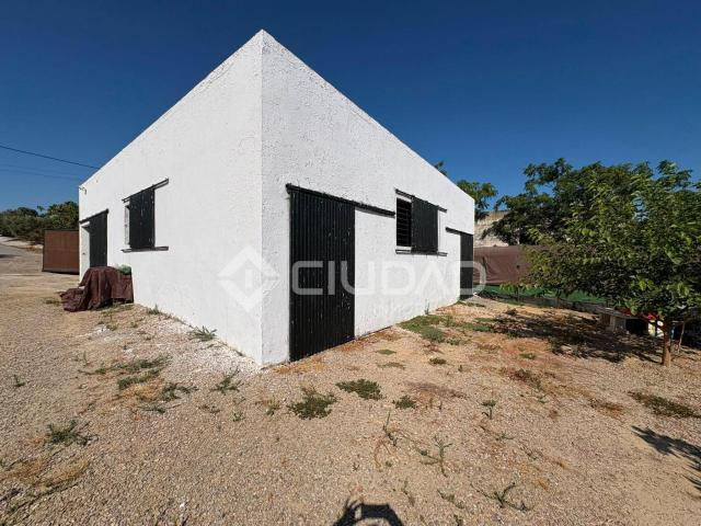 Terreno rústico con construcción e invernaderos