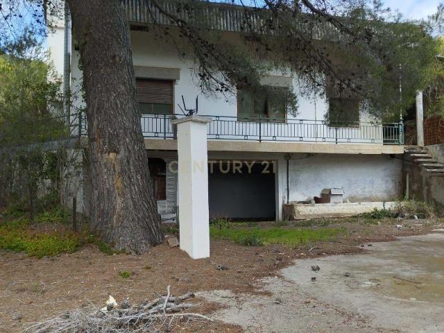 TERRENO RUSTICO CON DOS VIVIENDAS Y 8 HECTAREAS EN LA MONTAÑA