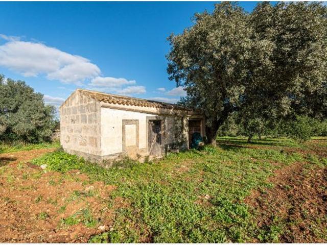 Terreno Rustico con pequeña casa para reformar al este de Petra, Mallorca