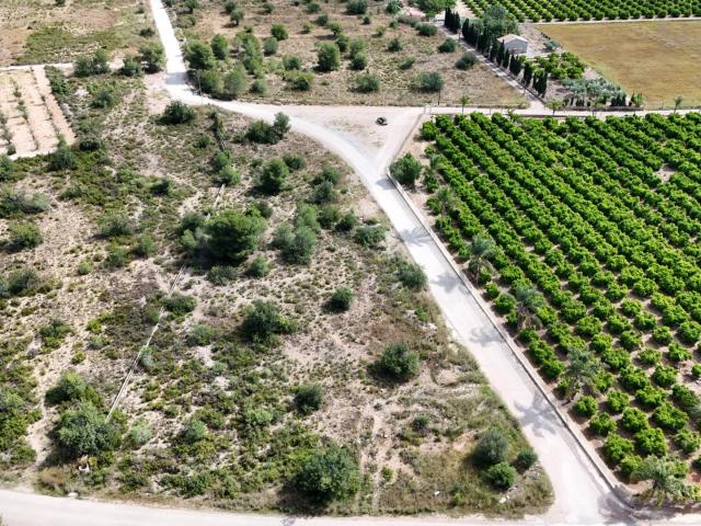 TERRENO RUSTICO, con posibilidad de agua