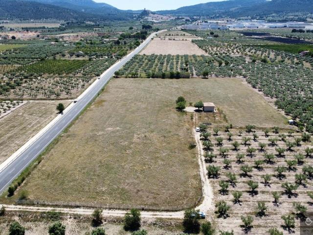 Terreno rústico con vistas a la montaña en Biar, Alicante