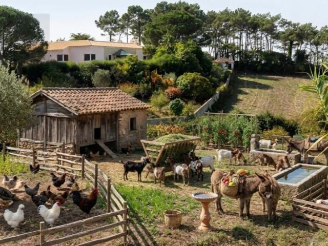 Terreno rústico Casal da Serra / Mafra
