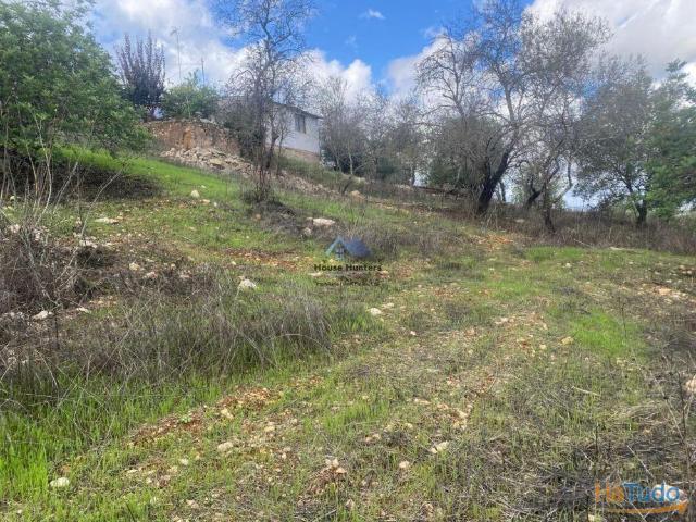 TERRENO RUSTICO | CHARNECA | LOULÉ | 26084059428
