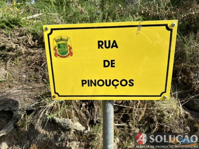 Terreno rustico c/vistas panorâmicas | 26084057689