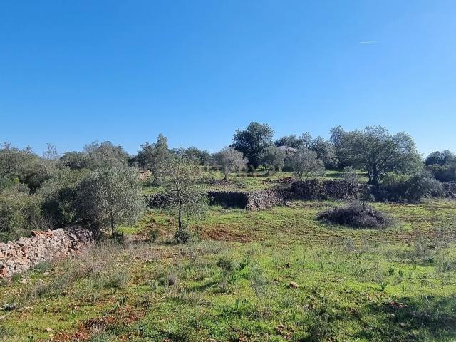 Terreno a 14min de Albufeira Disponível