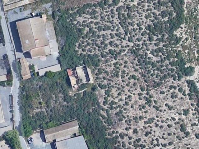 TERRENO RUSTICO A UN KILOMETRO DE ELCHE