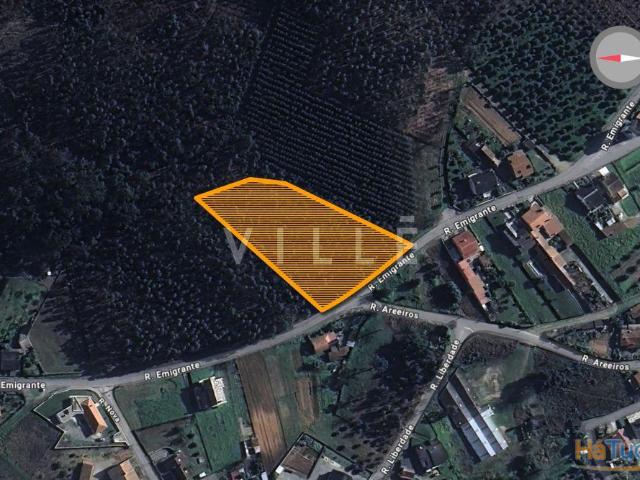 Terreno rústico à Venda em Macinhata do Vouga | 26064082517