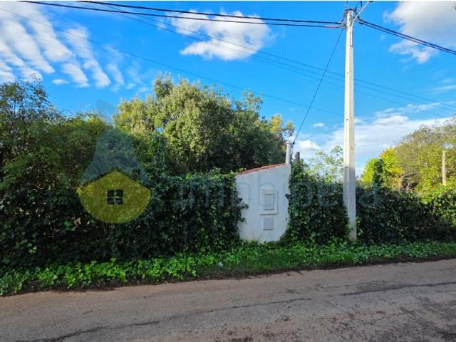 Terreno rústico à venda Fonte de Louzeiros