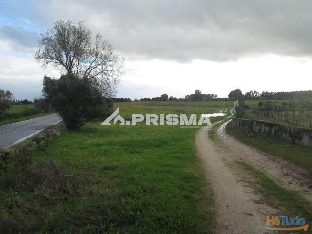 Terreno Rústico à Venda na Lardosa | 26083900178