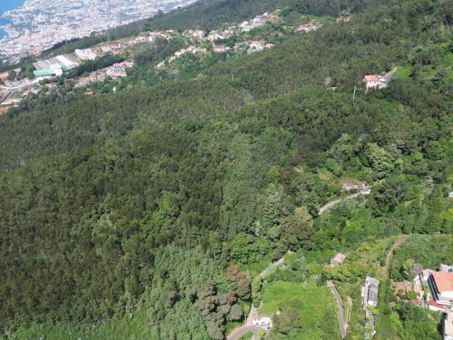 Terreno Rústico à Venda no Vale Paraíso Camacha, Ilha da Madeira