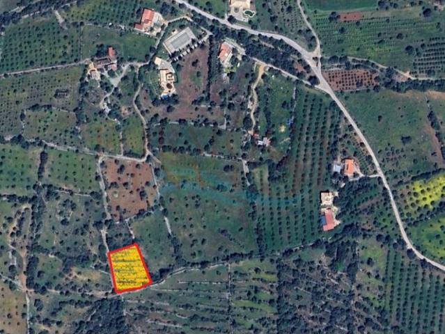 Terreno Rústico à Venda perto de Moncarapacho 1.880m²