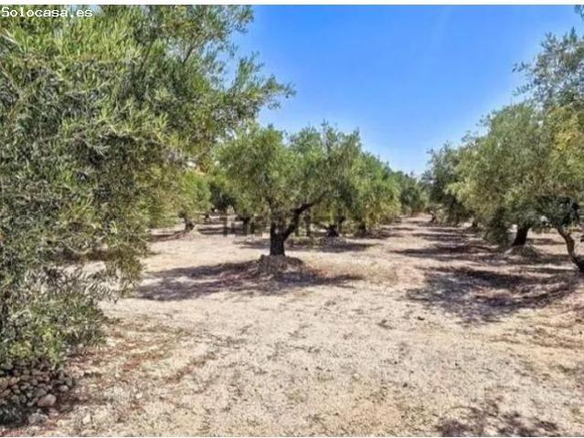 Terreno rustico a la venta