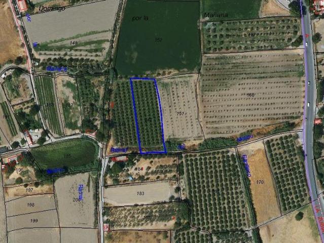 TERRENO RUSTICO A LA VENTA EN LA ZUBIA GRANADA