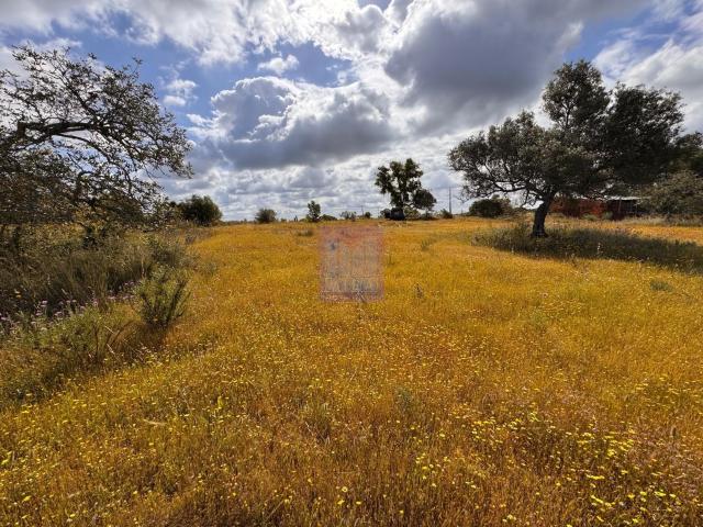 Terreno rustico a menos de 15 minutos da cidade de Silves