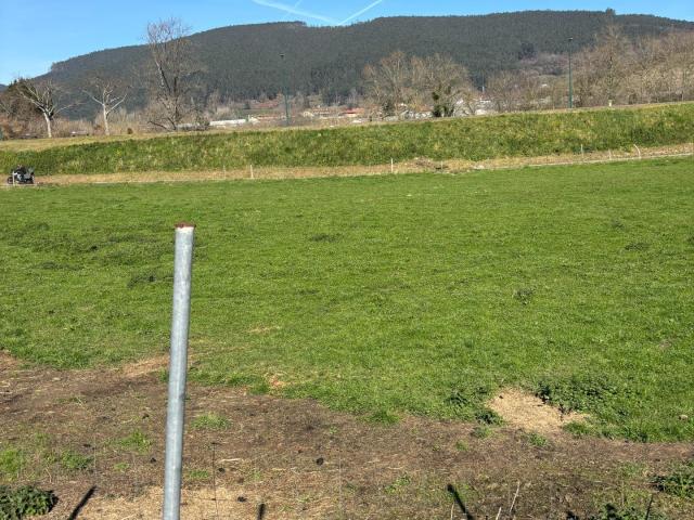 Terreno rústico agrario