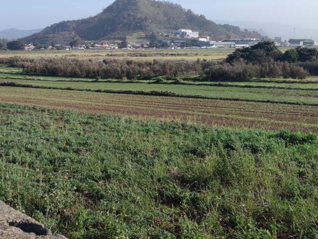TERRENO RUSTICO AGRARIO