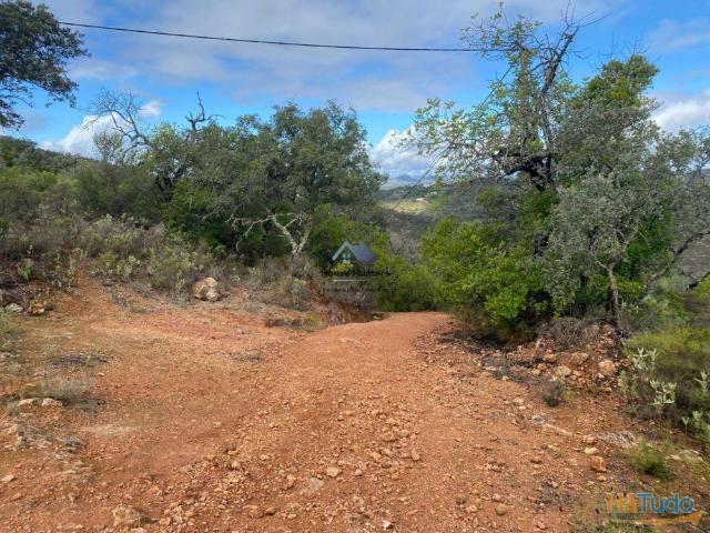 Terreno Rustico | Alcaria do Gato | Querença | 26084059427