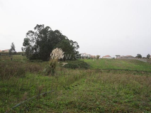 Terreno, Atouguia Da Baleia, Peniche | BPI Expresso Imobiliário