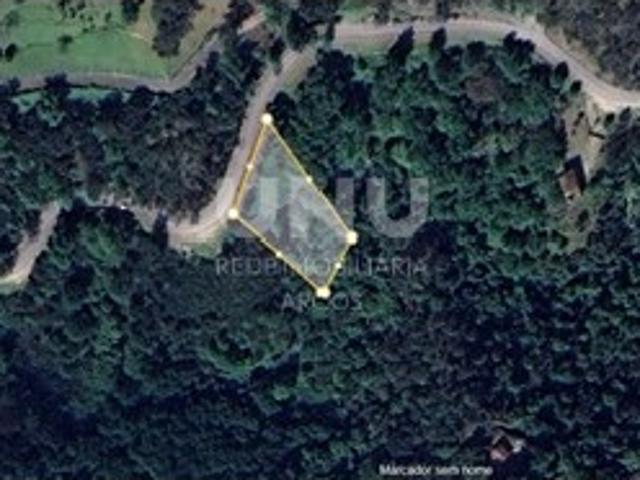 Terreno rústico Bouça com eucaliptos, parcialmente vedado, junto estrada municipal e a Ribeira