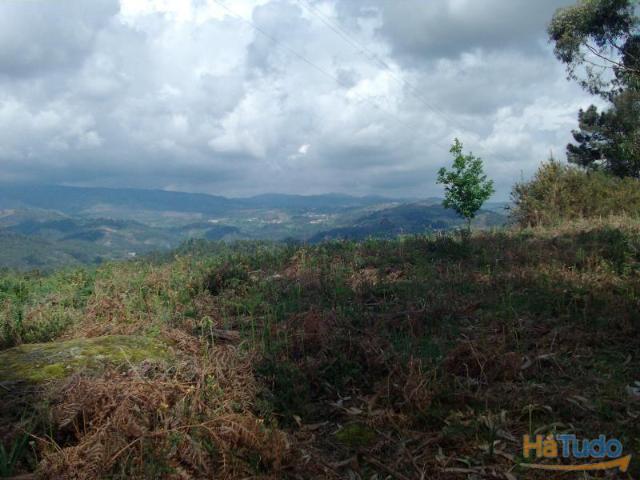 Terreno rustico bem localizado, com area de 10000m2. | 26083709198
