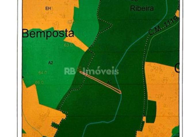 Terreno Rústico Bemposta, Tomar