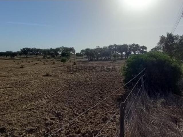 Terreno Rustico, Grândola
