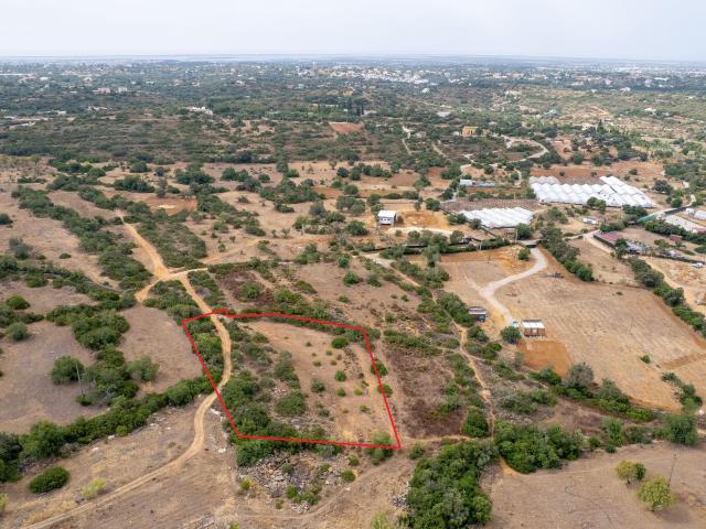 Terreno Rústico de 3.650 m² entre Pechão e Estoi