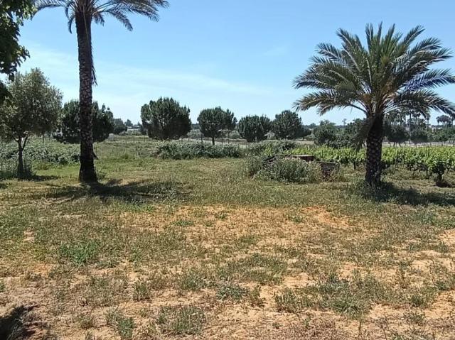 Terreno urbano de 3 hectáreas en Villamanrique de la Condesa Sevilla