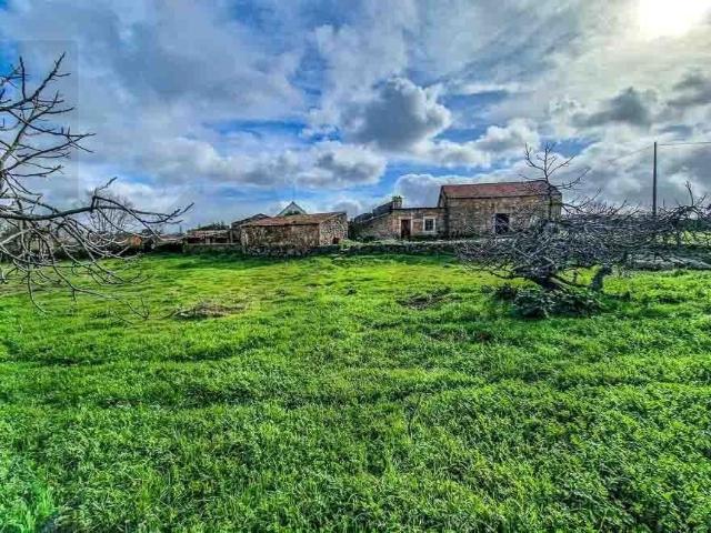 Terreno Rústico de 3 Hectares com Capacidade Construtiva | Feiteira, Castelo Branco