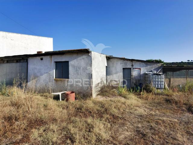 Terreno Rústico de 1000m² à Venda – O Almeirim, Arneiro das Milhariças