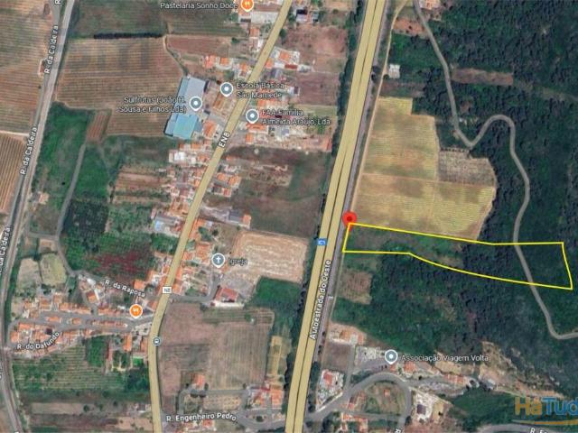 Terreno Rústico de 10.840m² em São Mamede, Bombarral, junto à autoestrada A8 | 26064039388