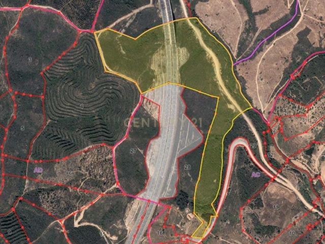 Terreno rústico de 112.000m2 em Ladeiras S. Bartolomeu de Messines Silves