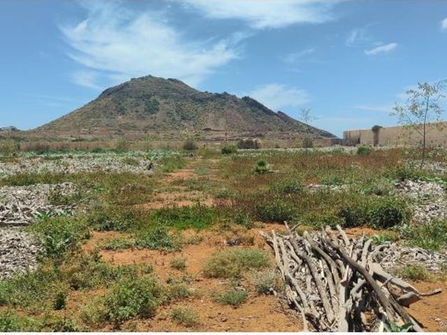 Terreno rústico de 14.510 m2 en Guaza Arona – Ultimo cultivo en 2025