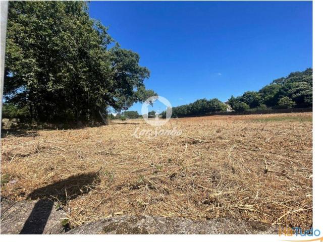Terreno Rústico de 15.000m2 em Alvelos, Barcelos | 26064062557