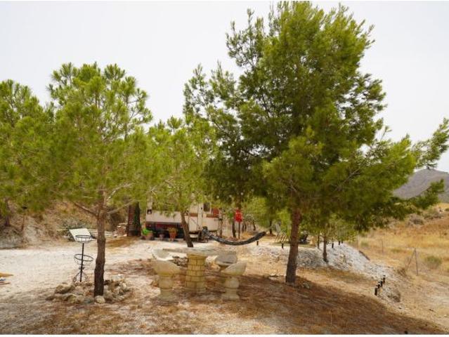 TERRENO RÚSTICO DE 16.000 M2 CON CASA DE MADERA IDEAL PARA VIVIR EN LA ATALAYA