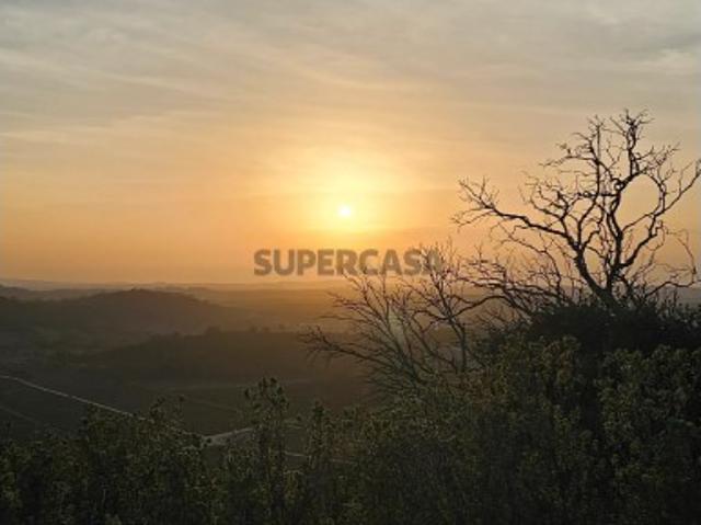 Terreno rústico de 19.720,00 m2 em Abitureiras para vinha e Olival