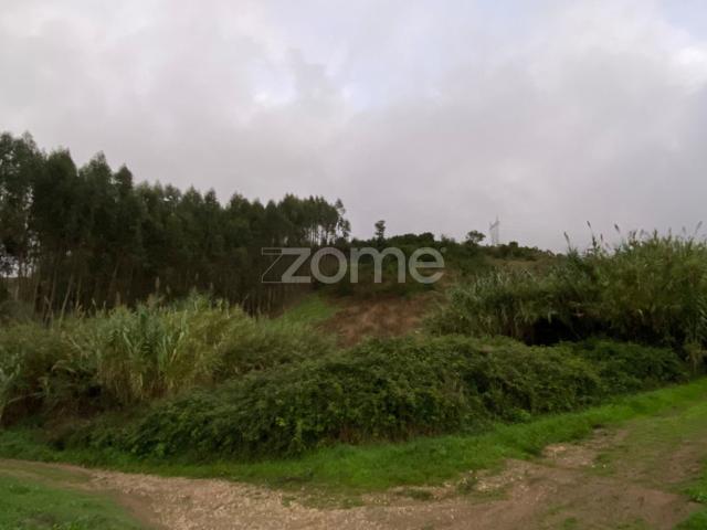 Terreno rústico de 1,6520 ha em Torres Vedras