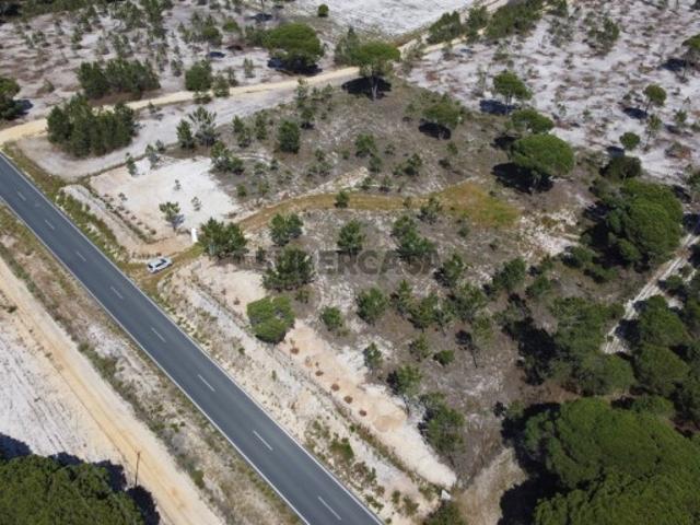 Terreno rústico de 1 ha com dependência em construção zona de Melides