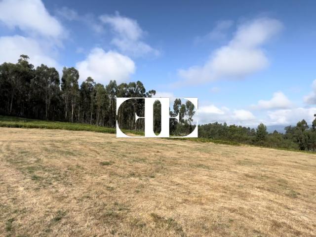 Terreno Rústico de 20.000€m² en Monte Galleiro Oportunidad Única para Proyecto Agrario o Club Hípico