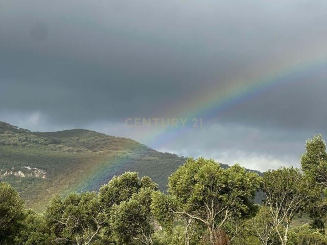 Terreno rústico de 30.000 m2