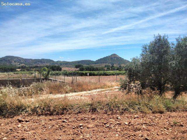 TERRENO RUSTICO DE 33460 M2 EN EL CHAPARRAL 5 PARCELAS JUNTAS